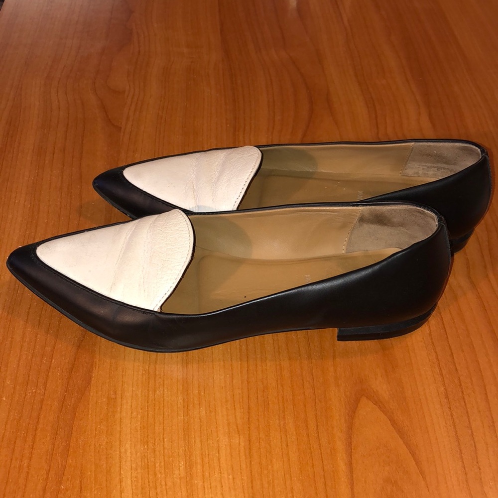 Everlane Modern Point Flat